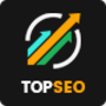 TopSEO - SEO, Digital Marketing WordPress Theme