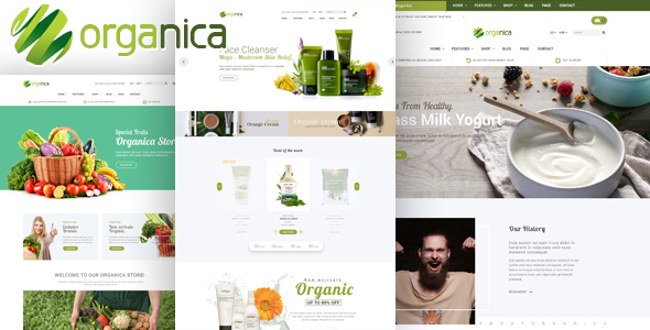 Download Organica - Organic, Beauty, Natural Cosmetics, Food, Farn and Eco WordPress Theme lat...jpg