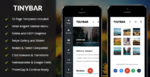 Download Tinybar Mobile -  Mobile Template.png