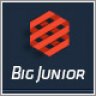Big Junior - Multi-Purpose Responsive Theme