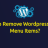 How to Remove WordPress Admin Menu Items?